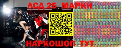 шишки Моздок