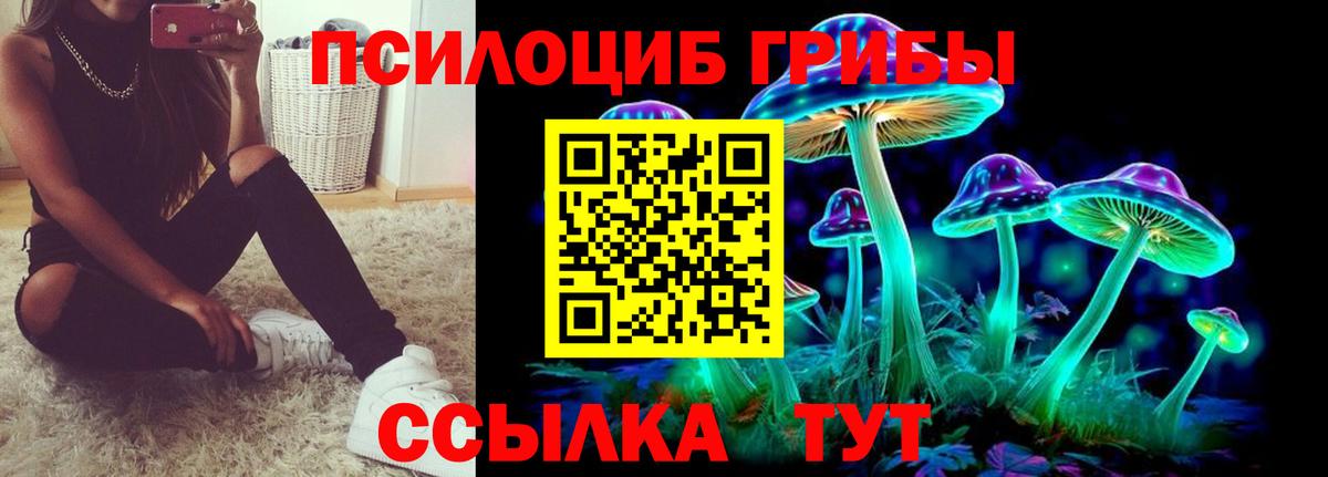 Псилоцибиновые грибы мухоморы  магазин продажи   Уссурийск  Вход с VPN 