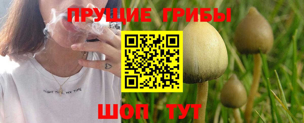 Псилоцибиновые грибы прущие грибы Уссурийск